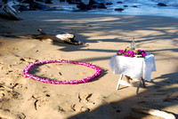 Elizabeth and Michael's Kauai Wedding-Lydgate
