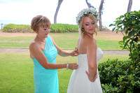 Amanda and Ruben's Kauai Wedding (All)