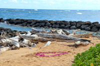 Jeremy's Romantic Kauai Wedding Proposal (Waipouli Beach Resort), 10/7/19