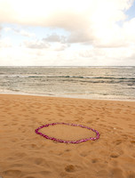 Jesse's Proposal to Michele, Kauai, 3/5/24 (Olivia)