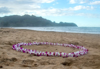Tom's Kauai Proposal Photos (Kalasara)