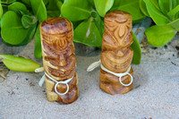 Brian and Jim's Kauai Wedding (Lydgate)